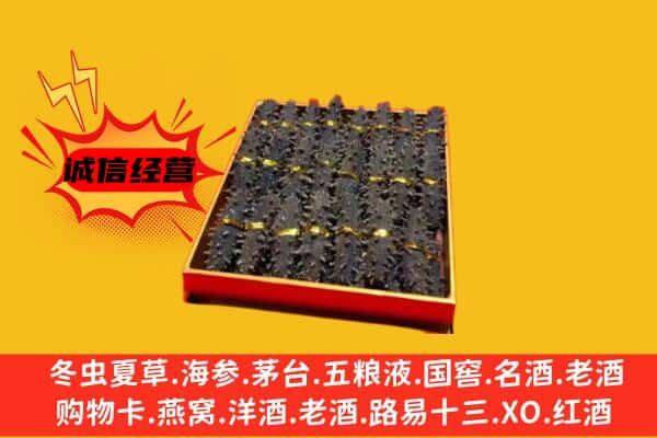 温州苍南县回收海参